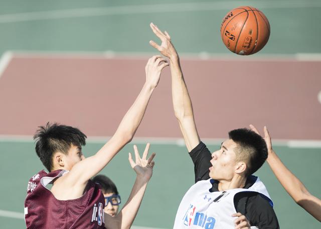 全集免费观看超清