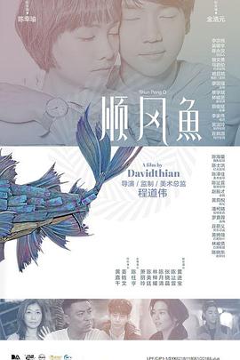 完结高清影视