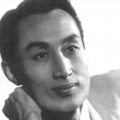 手机免费播放