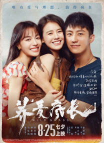 蓝光完整版在线看