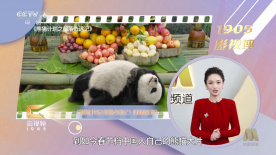 在蜂蜜色的光线与深红的阴影下，每个画面拥有了油画版的质感，充满了古典美。